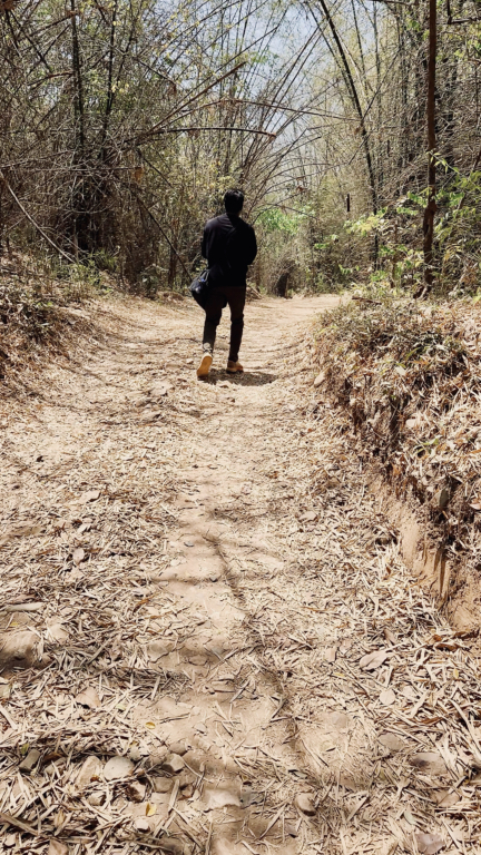 Walk through the bamboo
